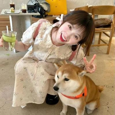 《遇见爱情的利先生》海报